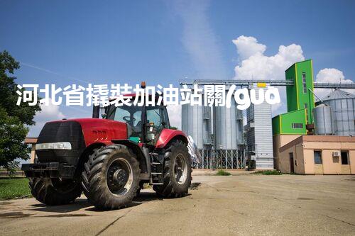河北省撬裝加油站關(guān)鍵技術(shù)突破！化工廠拆除工程的新方法探索？